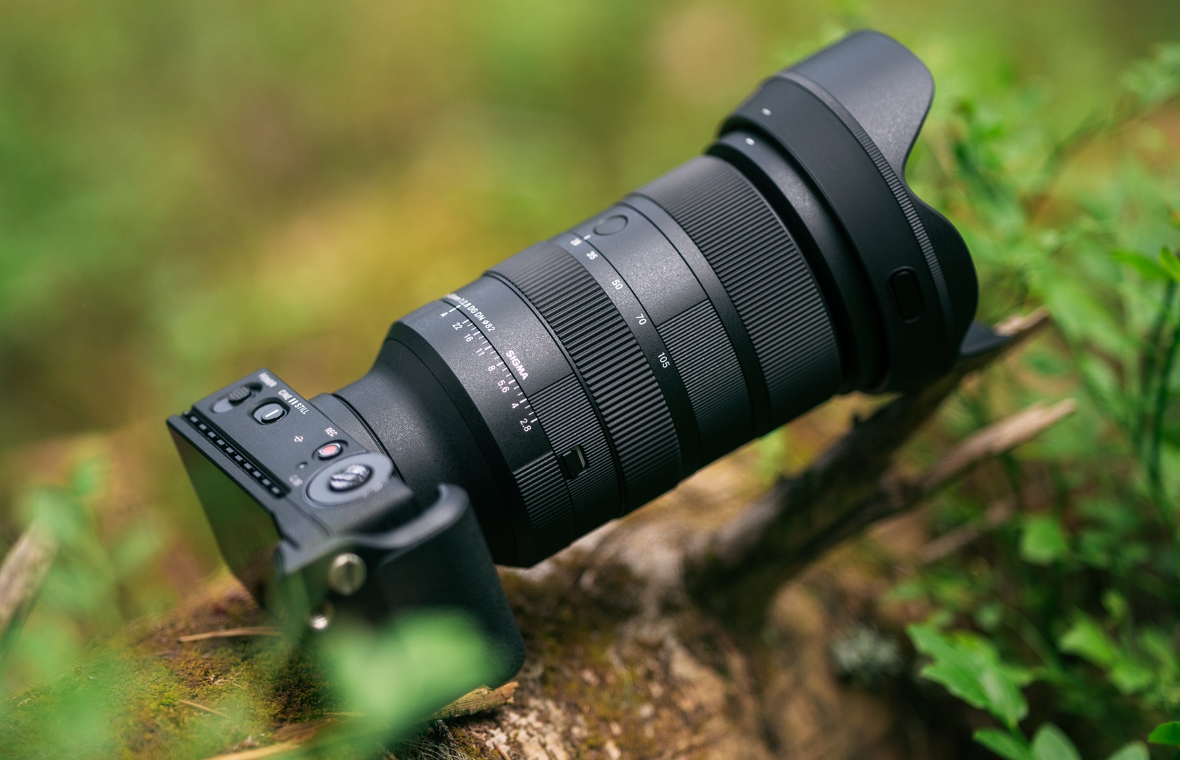 Sigma 28-105mm F2.8 DG DN Art – capabilitate macro